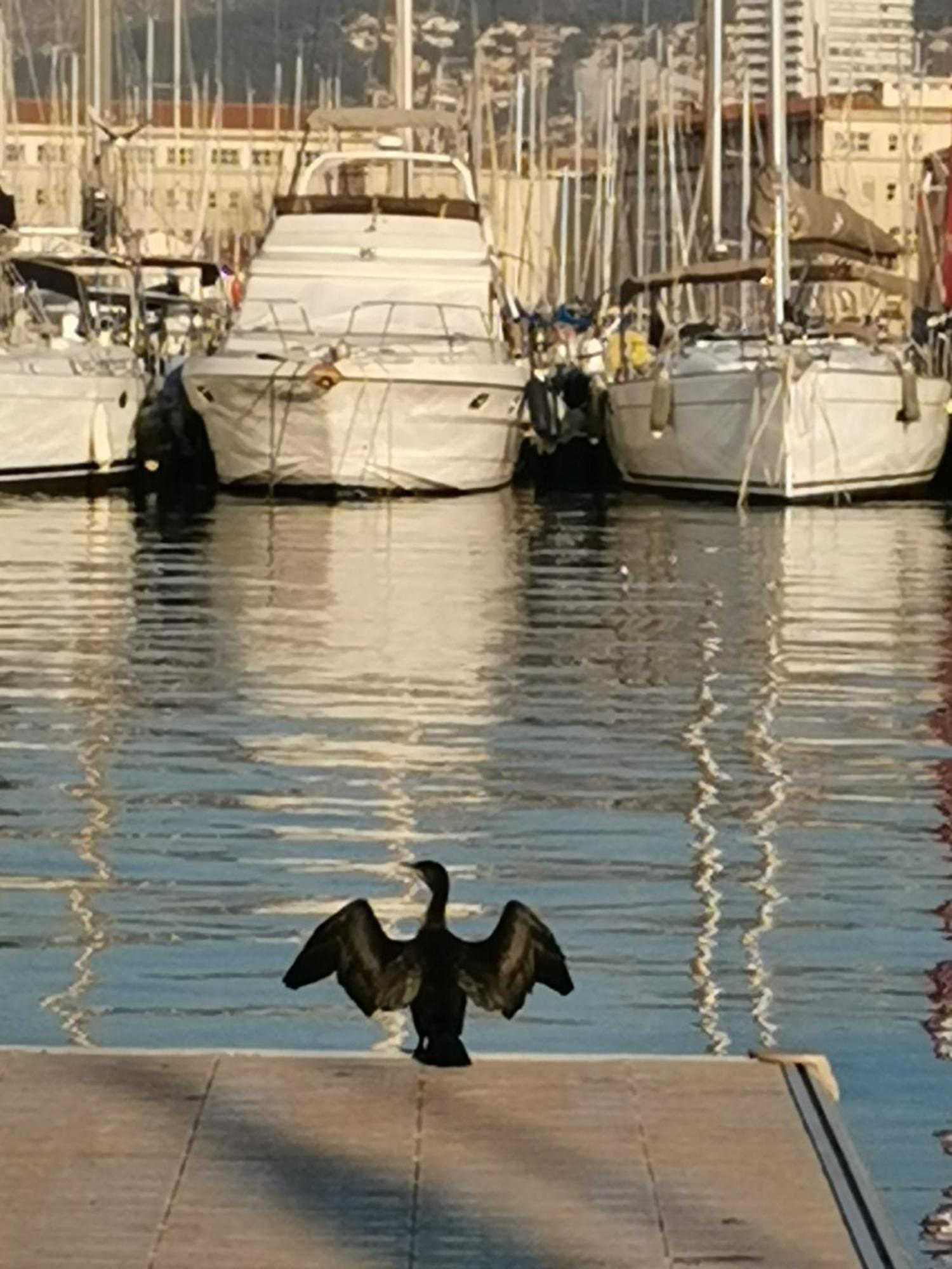 Marina Dream Toulon Exterior foto